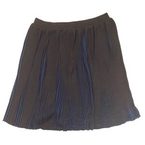 Stella Nova plisse accordion pleated black and navy sheer mini skirt